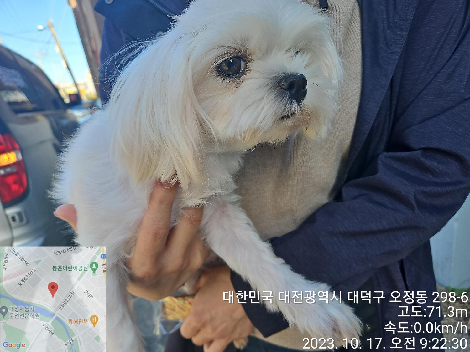 대전동물보호센터_430368202300463